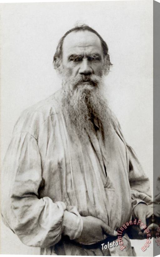 Others Leo Nikolaevich Tolstoy Stretched Canvas Print / Canvas Art