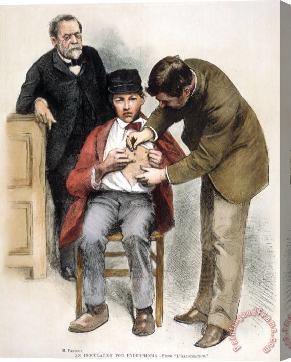 Others Louis Pasteur (1822-1895) Stretched Canvas Painting / Canvas Art