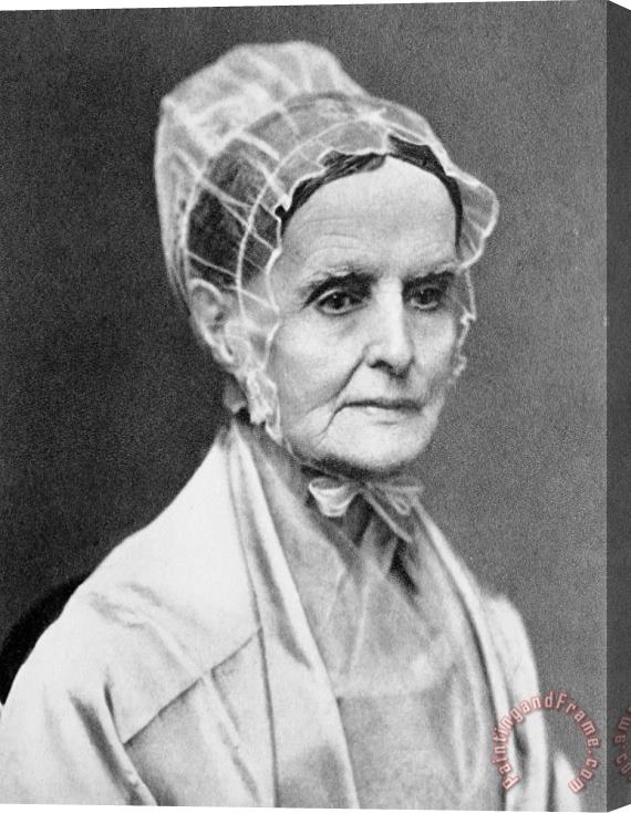Others Lucretia Coffin Mott Stretched Canvas Painting / Canvas Art