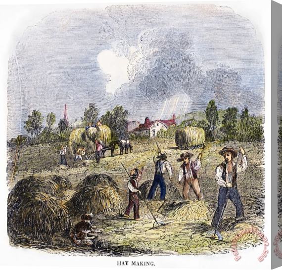 Others MAKING HAY, c1850s Stretched Canvas Print / Canvas Art