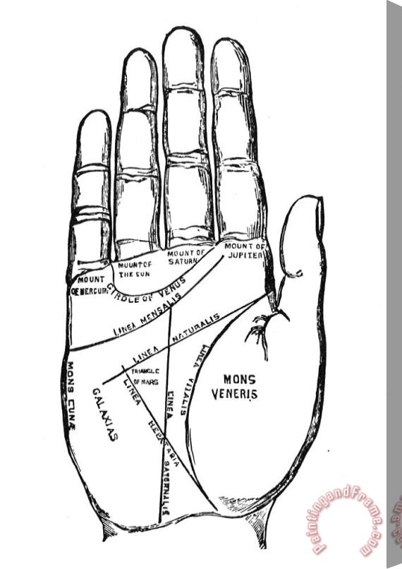 Others Palmistry Chart, 1885 Stretched Canvas Painting / Canvas Art