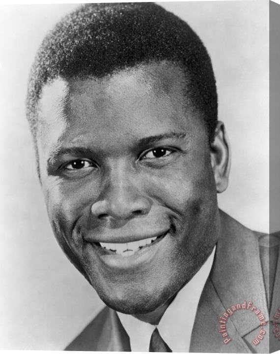 Others Sidney Poitier (1924-) Stretched Canvas Print / Canvas Art