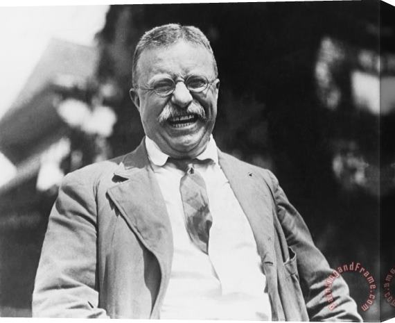Others Theodore Roosevelt Stretched Canvas Print / Canvas Art
