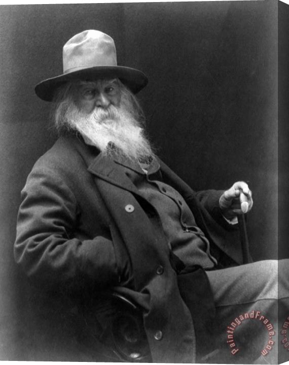 Others Walt Whitman (1819-1892) Stretched Canvas Print / Canvas Art