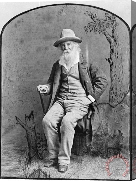 Others Walt Whitman (1819-1892) Stretched Canvas Painting / Canvas Art