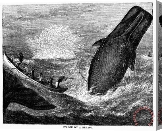 Others WHALING, 19th CENTURY Stretched Canvas Print / Canvas Art