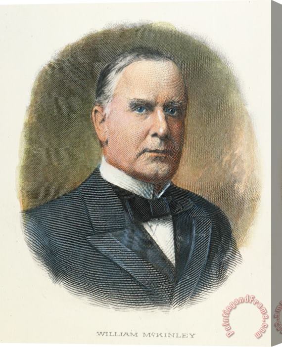 Others WILLIAM McKINLEY (1843-1901): Stretched Canvas Print / Canvas Art