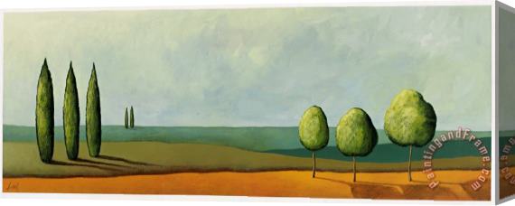Pablo Esteban Tuscan Field Stretched Canvas Painting / Canvas Art