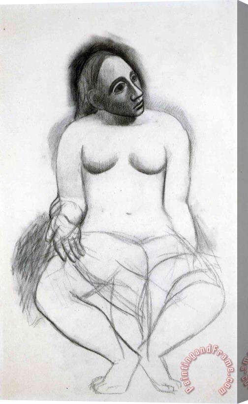 Pablo Picasso Seated Nude 1906 Stretched Canvas Print / Canvas Art