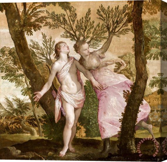 Paolo Caliari Veronese Apollo And Daphne Stretched Canvas Painting / Canvas Art
