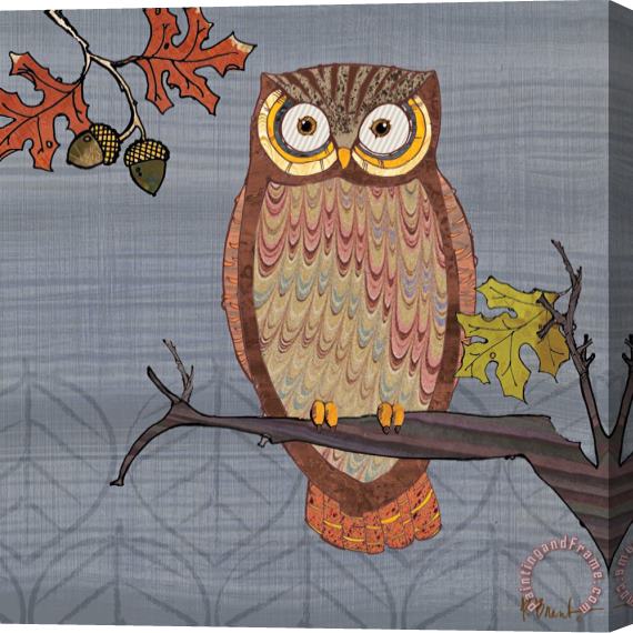 Paul Brent Awesome Owls II Stretched Canvas Print / Canvas Art