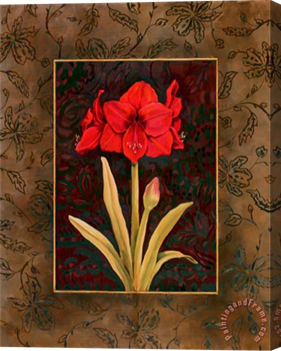 Paul Brent Damask Amaryllis Stretched Canvas Painting / Canvas Art
