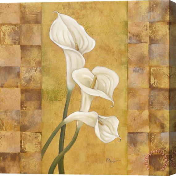 Paul Brent Flora Del Rey I Stretched Canvas Print / Canvas Art