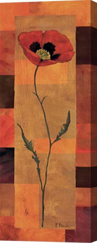 Paul Brent Goa Poppy Panel I Stretched Canvas Print / Canvas Art