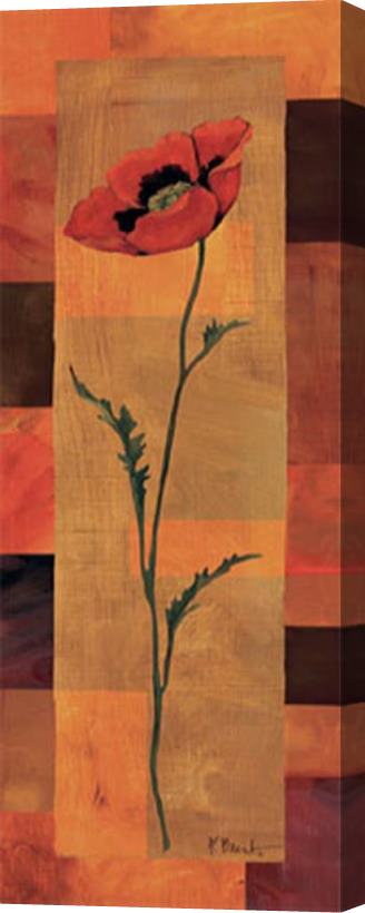 Paul Brent Goa Poppy Panel II Stretched Canvas Print / Canvas Art