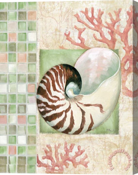 Paul Brent Mosaic Shell Collage I Stretched Canvas Painting / Canvas Art