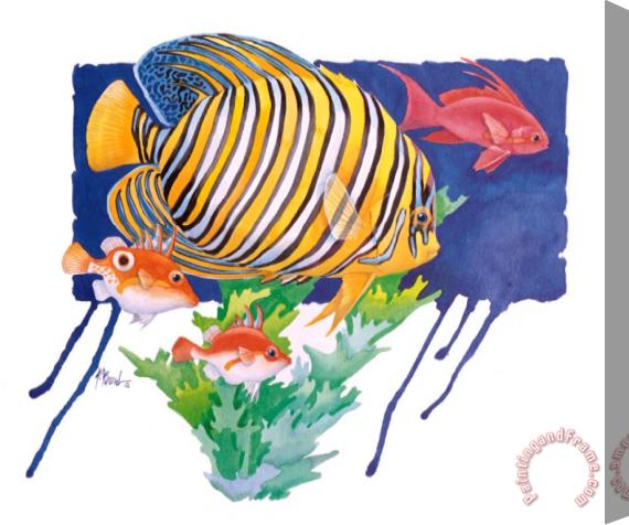 Paul Brent Regal Angel Fish Stretched Canvas Print / Canvas Art