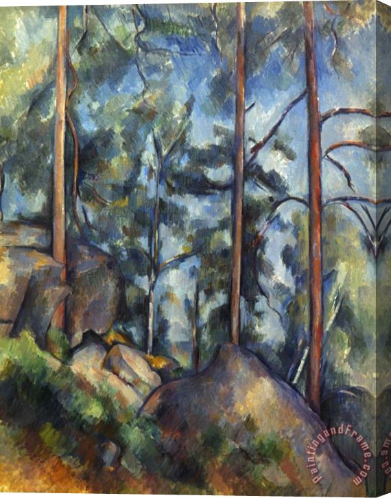 Paul Cezanne Cezanne Pines 1896 99 Stretched Canvas Print / Canvas Art
