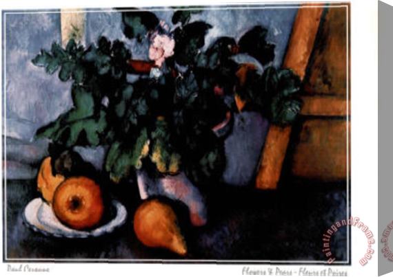 Paul Cezanne Flowers Pear Stretched Canvas Print / Canvas Art