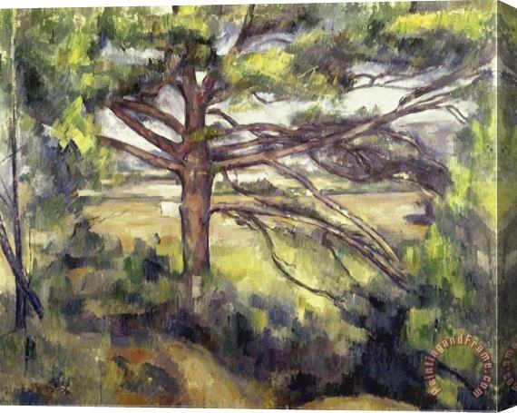 Paul Cezanne Great Pine And Red Earth C 1885 Stretched Canvas Print / Canvas Art