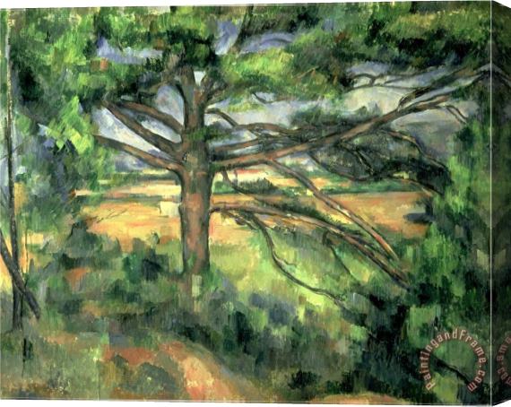 Paul Cezanne The Large Pine 1895 97 Stretched Canvas Painting / Canvas Art
