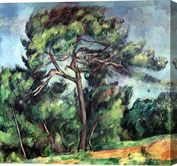 Paul Cezanne The Large Pine Circa 1889 Stretched Canvas Print / Canvas Art