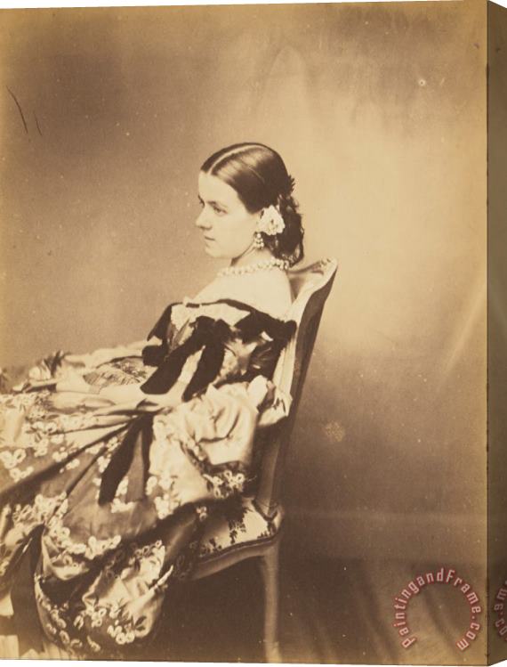 Paul De Gaillard Portrait of a Woman Seated in Profile Stretched Canvas Print / Canvas Art
