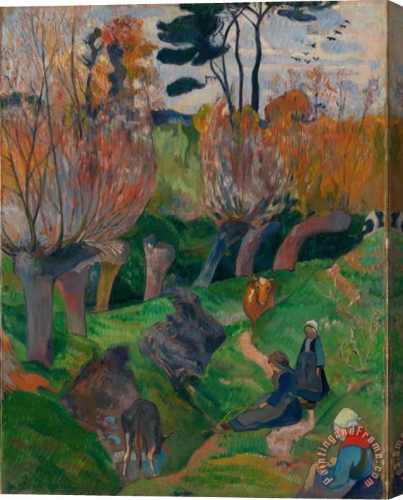 Paul Gauguin Bretagnelandskap Med Kuer Stretched Canvas Print / Canvas Art