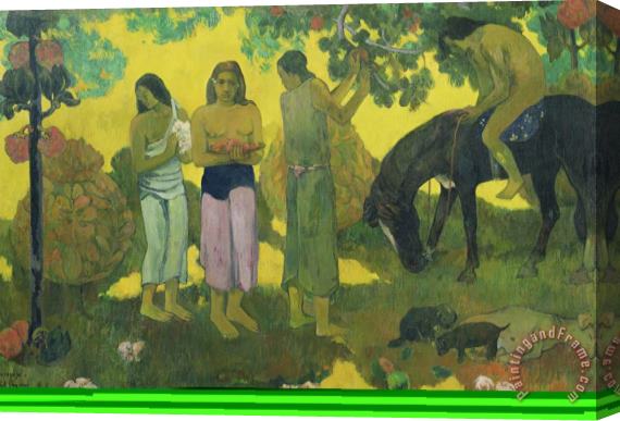 Paul Gauguin Rupe Rupe (fruit Gathering) Stretched Canvas Painting / Canvas Art