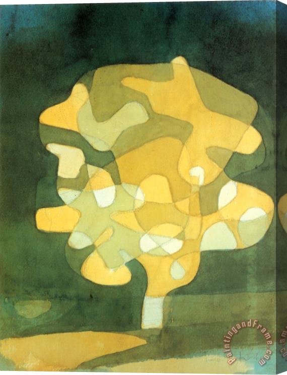 Paul Klee Fig Tree Stretched Canvas Print / Canvas Art