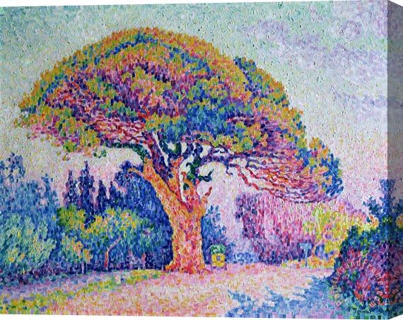 Paul Signac The Pine Tree at Saint Tropez Stretched Canvas Painting / Canvas Art