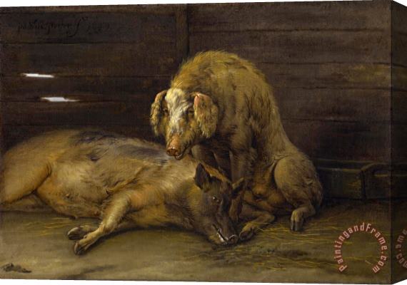 Paulus Potter Two Pigs in a Sty Stretched Canvas Painting / Canvas Art