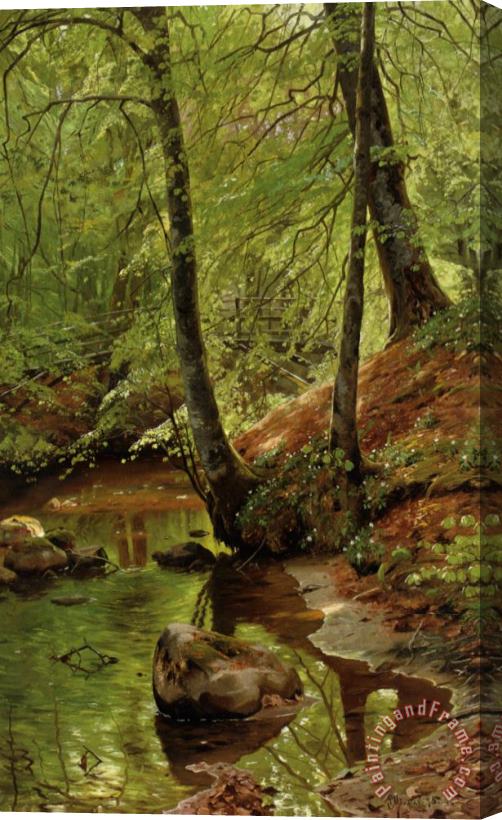 Peder Mork Monsted A Forest Stream Stretched Canvas Painting / Canvas Art