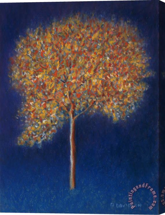 Peter Davidson Tree In Blossom Stretched Canvas Painting / Canvas Art