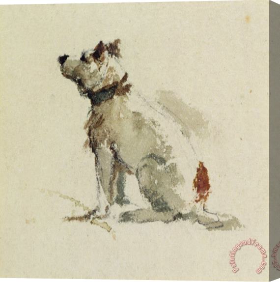 Peter de Wint  A Terrier - sitting facing left Stretched Canvas Print / Canvas Art