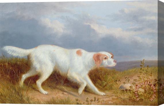 Philip Reinagle A Setter on the Moor Stretched Canvas Painting / Canvas Art