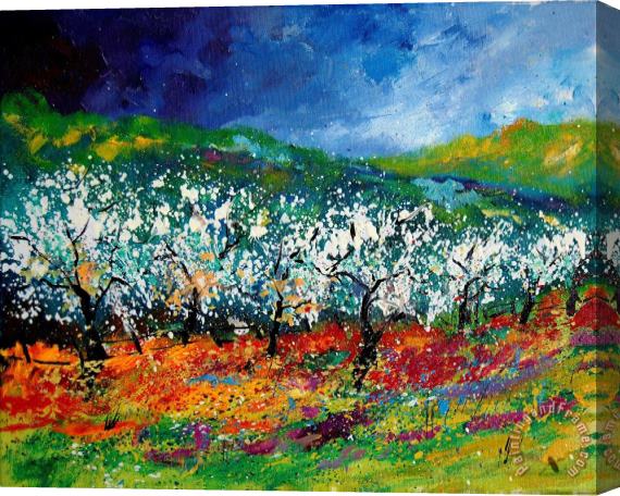 Pol Ledent Appletrees 4509070 Stretched Canvas Print / Canvas Art