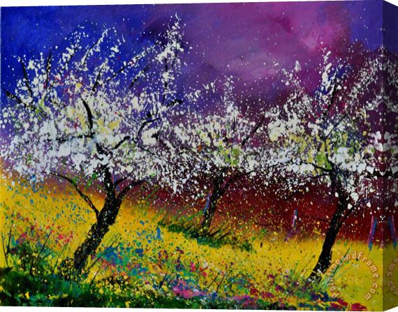 Pol Ledent Appletrees In Blossom 450160 Stretched Canvas Painting / Canvas Art