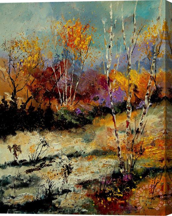 Pol Ledent Birchtrees 459090 Stretched Canvas Print / Canvas Art