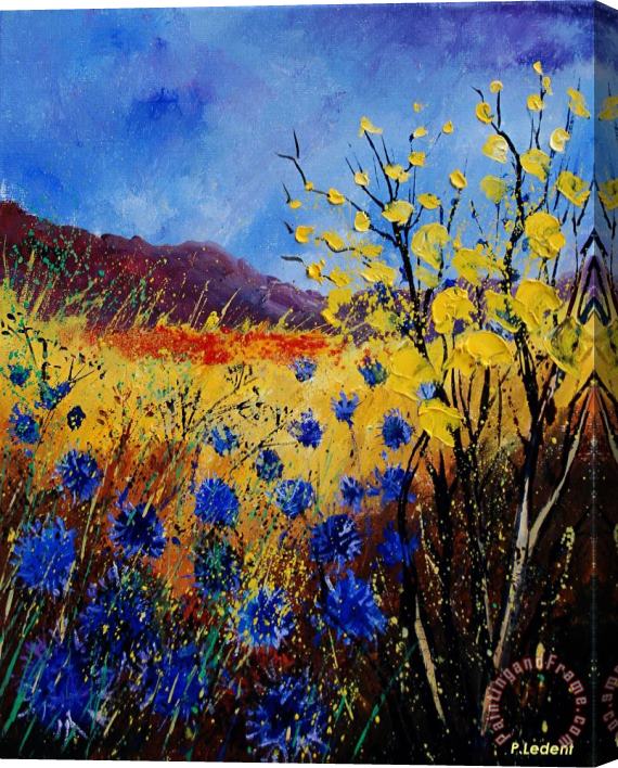 Pol Ledent Blue Cornflowers Stretched Canvas Painting / Canvas Art