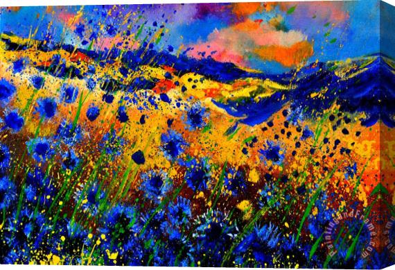 Pol Ledent Cornflowers 746 Stretched Canvas Print / Canvas Art