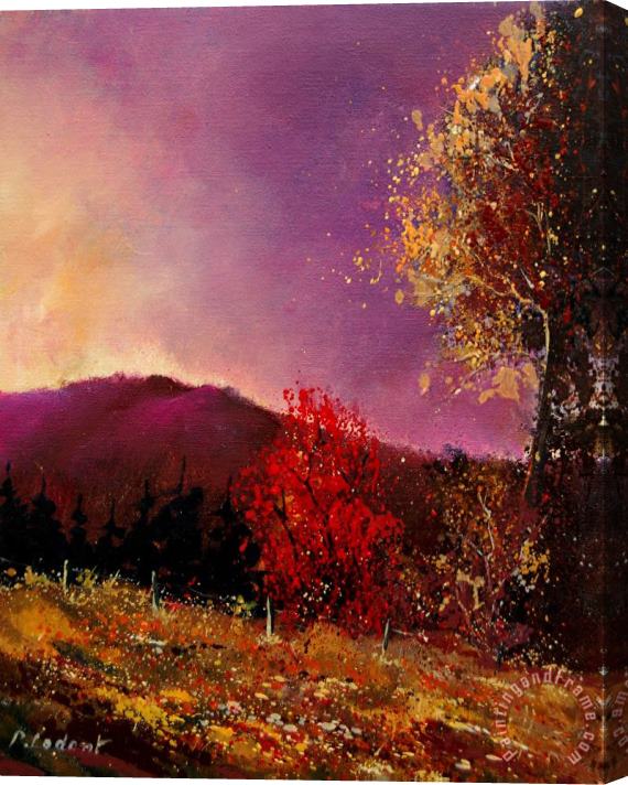 Pol Ledent Fall Colors Stretched Canvas Painting / Canvas Art