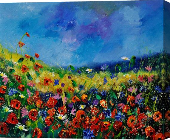 Pol Ledent Field Flowers 561190 Stretched Canvas Print / Canvas Art