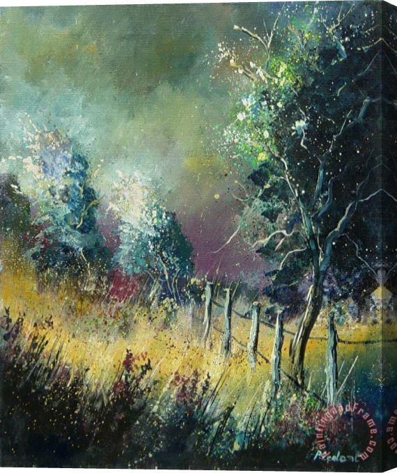 Pol Ledent Light on trees Stretched Canvas Print / Canvas Art