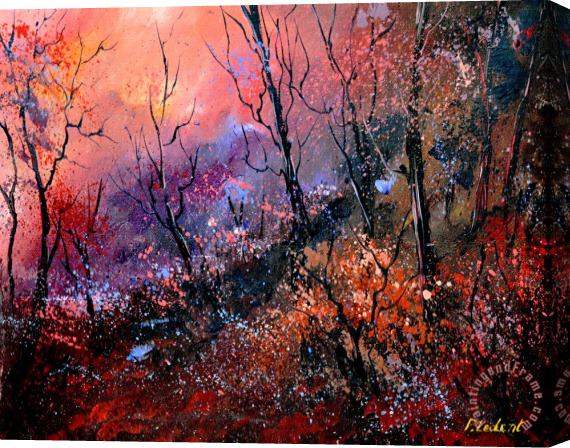 Pol Ledent Magic forest Stretched Canvas Print / Canvas Art