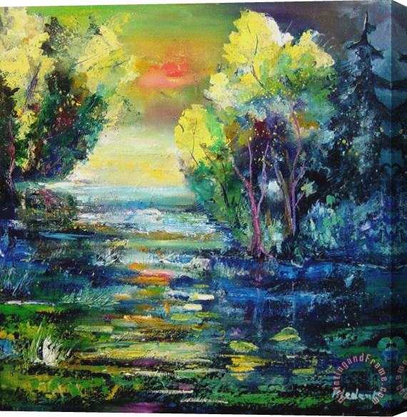 Pol Ledent Magic pond Stretched Canvas Painting / Canvas Art