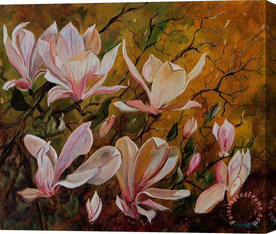 Pol Ledent Magnolias Stretched Canvas Painting / Canvas Art