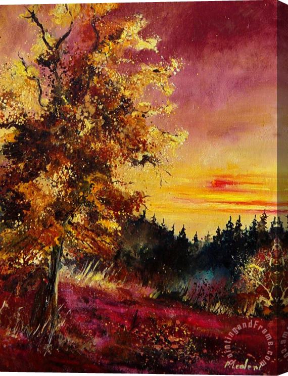 Pol Ledent Old oak at sunset Stretched Canvas Print / Canvas Art