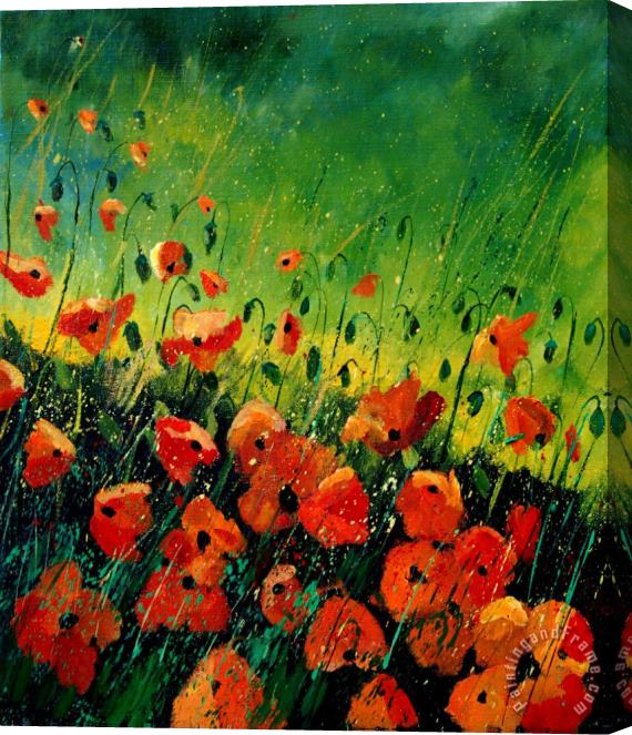 Pol Ledent Orange poppies Stretched Canvas Print / Canvas Art