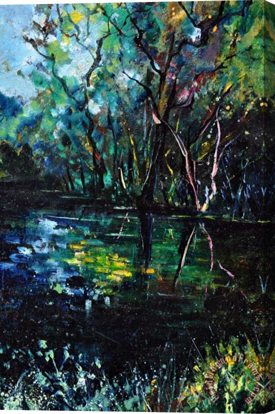 Pol Ledent Pond 944 Stretched Canvas Print / Canvas Art